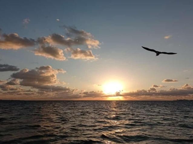 カンクンCorazon Del Pescadorアパートメント エクステリア 写真
